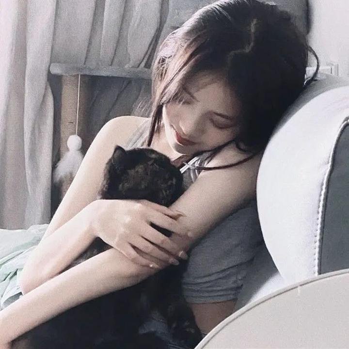 超级无敌掌门狗：引鹅入室 在线观看